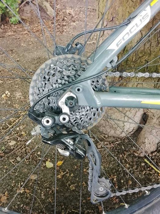 MTB Fokus black forest