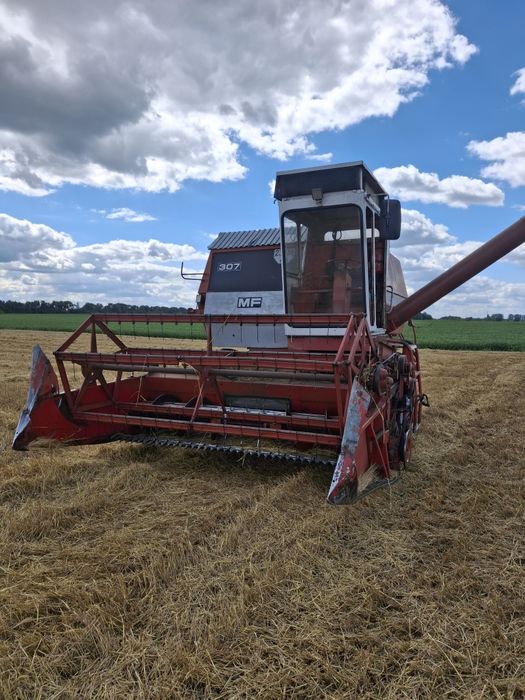 Massey Ferguson 307