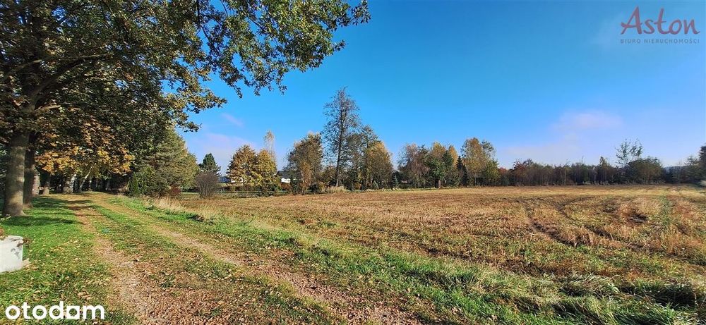 Działka budowlana-wydane warunki zabudowy