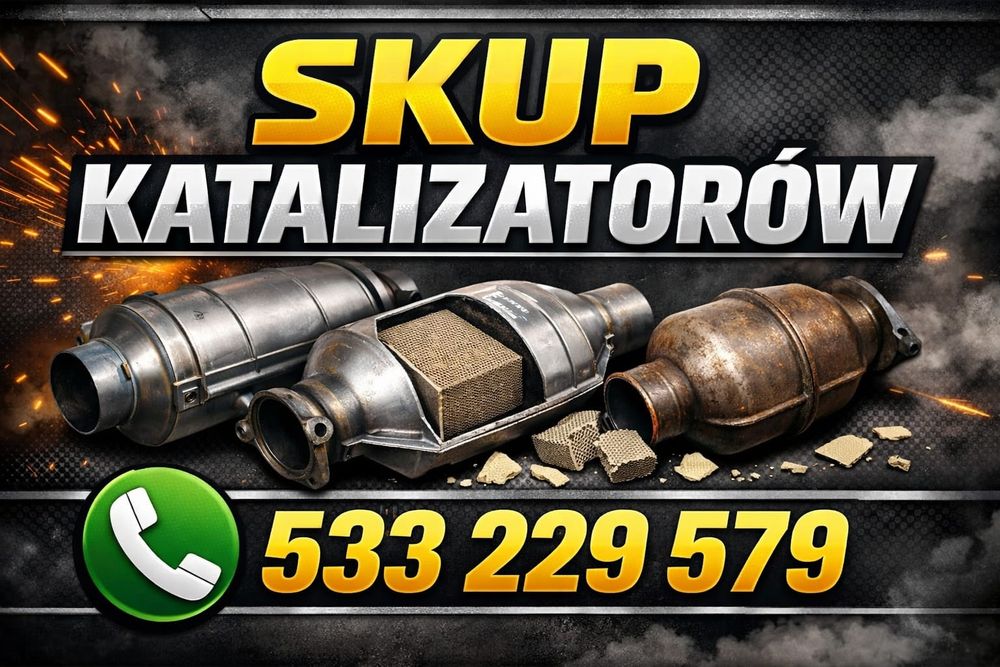 Skup katalizatorow! Gotowka od ręki! Brodnica Górzno Golub-Dobrzyń