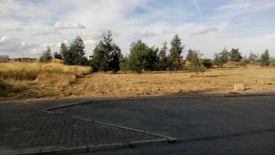 LLP-Limpeza de terrenos/ lavra terrenos/Prestação de serviços