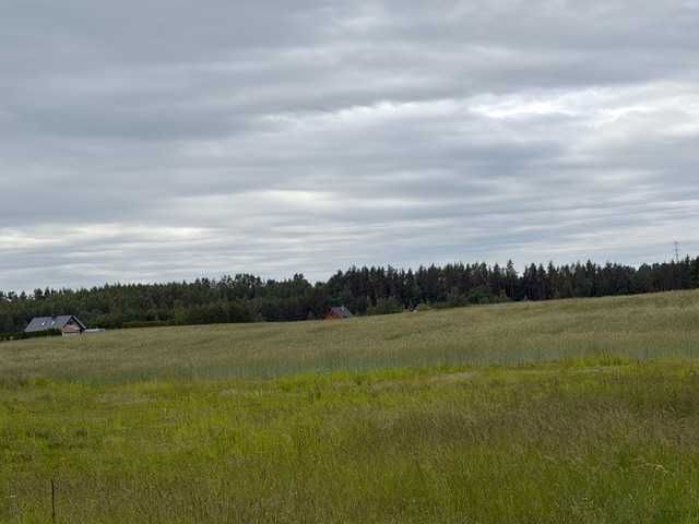 Działki niezabudowane, o pow. po 3000 m², po 63 tys zł. Bakałarzewo, dostęp do jeziora. Dolina Rospudy. - Widok 4