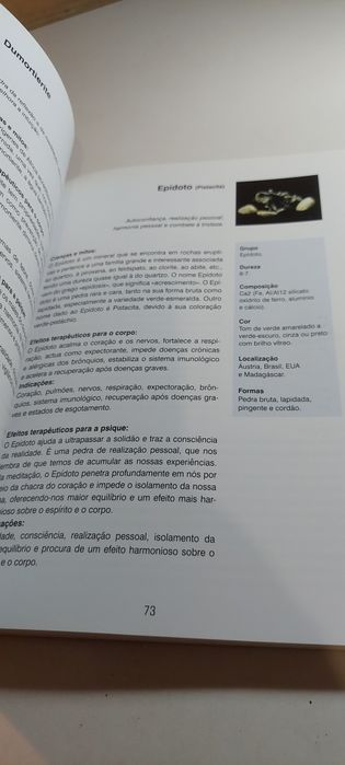 Prevenção e Cura com Pedras - Karl Stark, Werner E. Meier