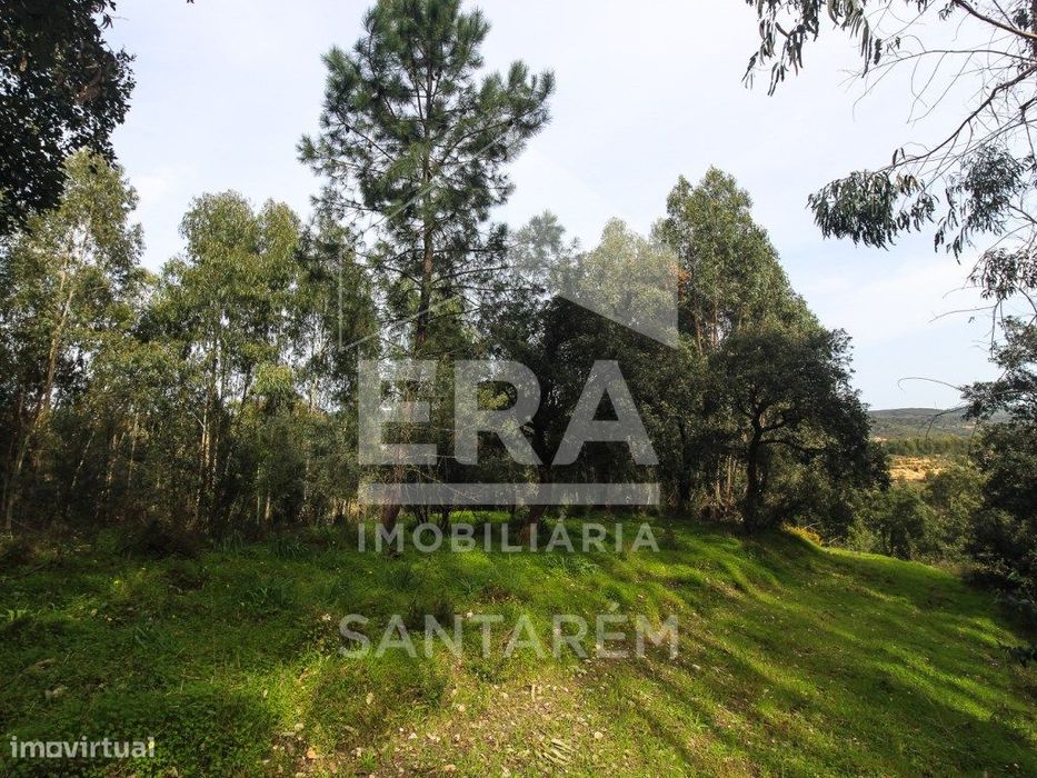 Terreno com cerca de 1 Hectare