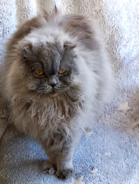 Тільки для люблячої родини