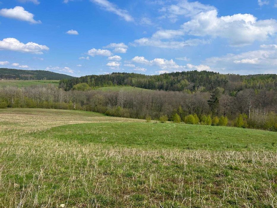 Lębork działka budowlana 981m2 graniczy bezpośrednio z linia lasu