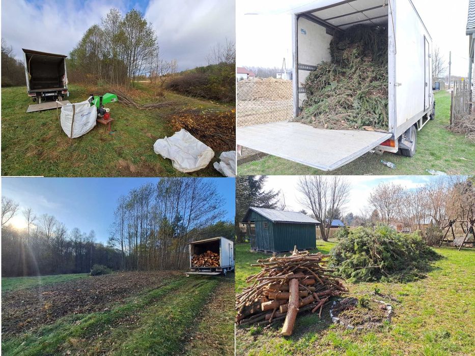 Wycinka Drzew Tui Czyszczenie działek Mulczerowanie Utylizacje Odpadów