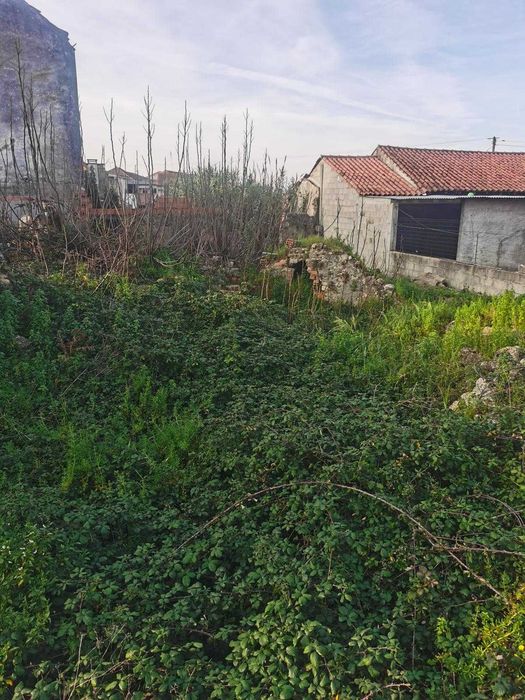 Lote Terreno Urbano 260 m² em Canedo (Mealhada) – A1/IC2