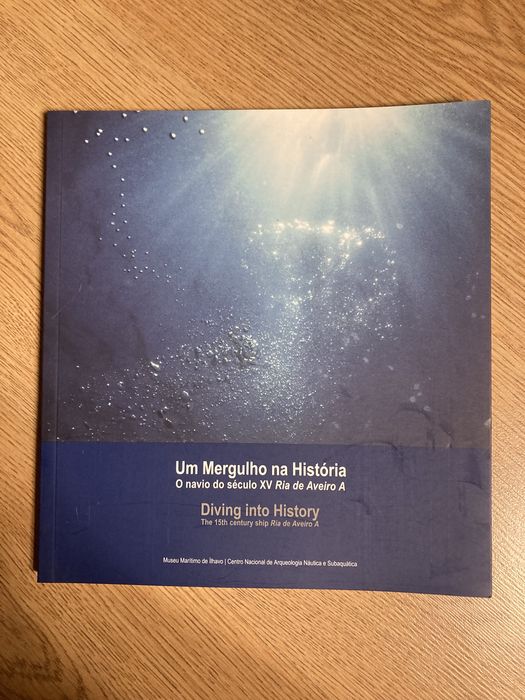 Arqueologia Um mergulho na História.