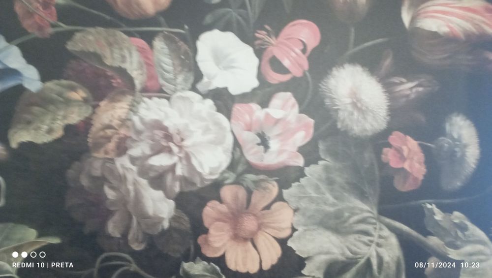 VENDO E OFEREÇO -Livros, Roupas Senhora, Pinturas