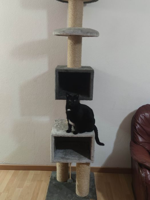 Arranhador pet solutions 2.00m