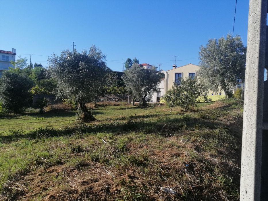 Terreno excelente exposição solar.