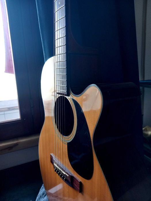 Violão Takamine EG220C
