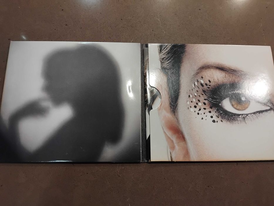 Celine dion  Taking Changes cd