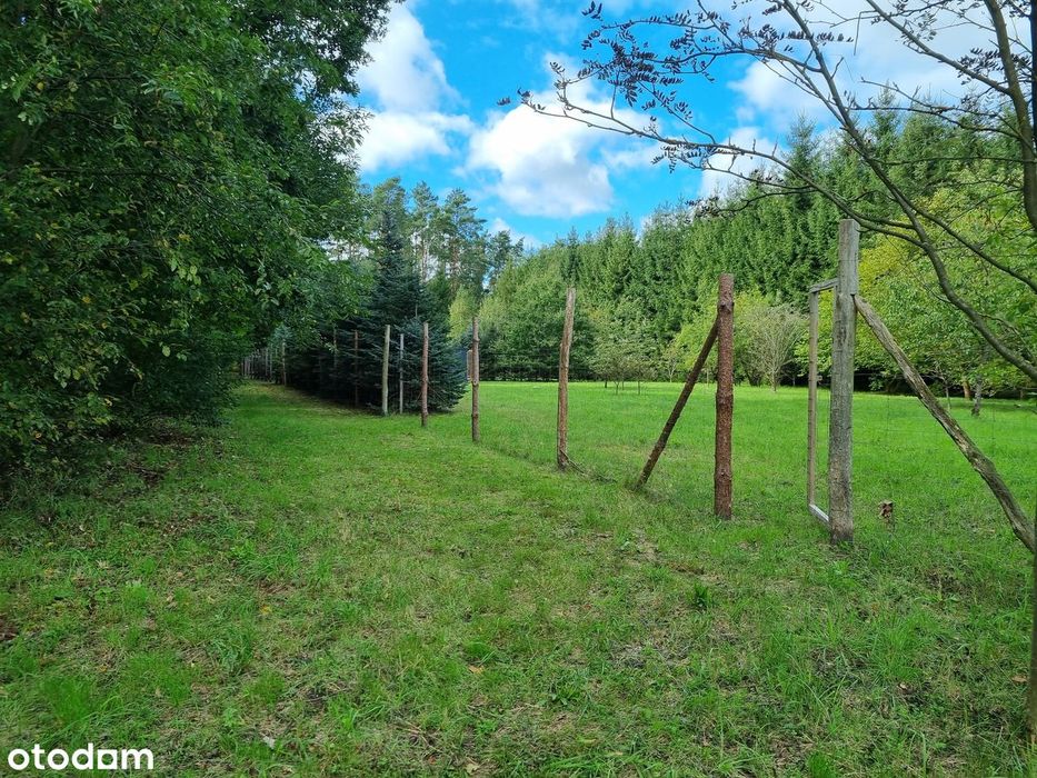 Działka 3000m² z linią brzegową - szlak kajakowy Obra - Ansicht 4