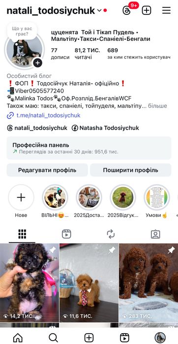 Прекрасна дівчинка мальтіпу