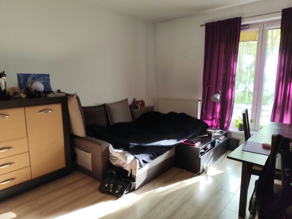 Pokój na jeżycach