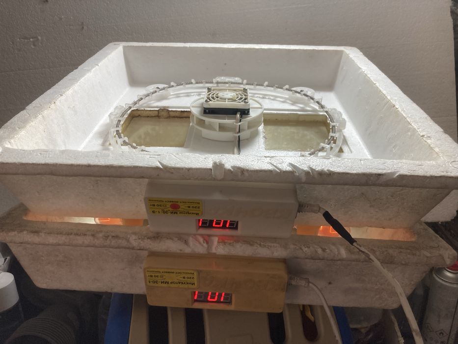 Інкубатор з ручним обертанням б/у