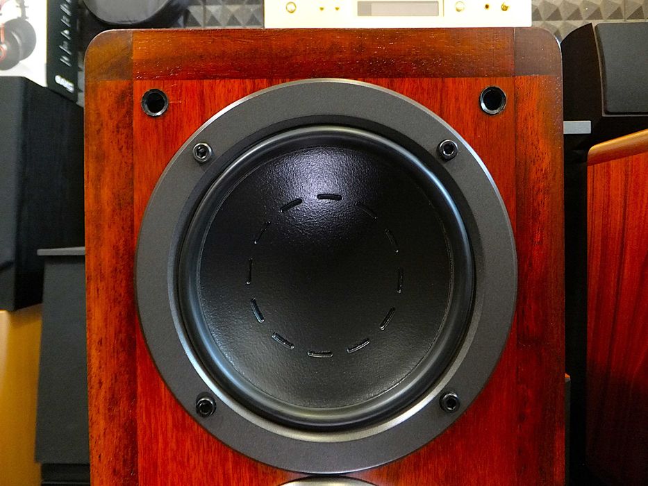 Kolumny głośnikowe monitory DYNAUDIO COMPOUND 2