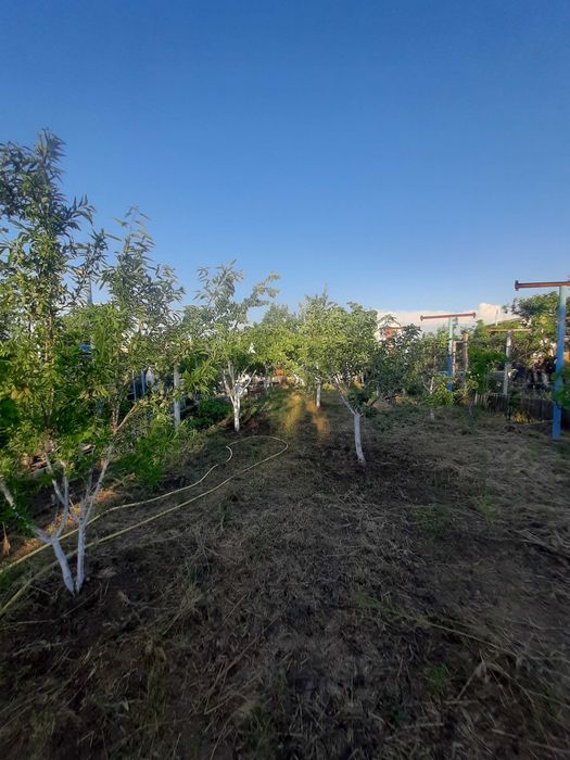 продаю дачу в СВТ Сатурн,  біля с. Калинівка