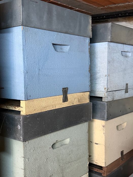 Alças, secador de pólen, capta pólen e alças usadas