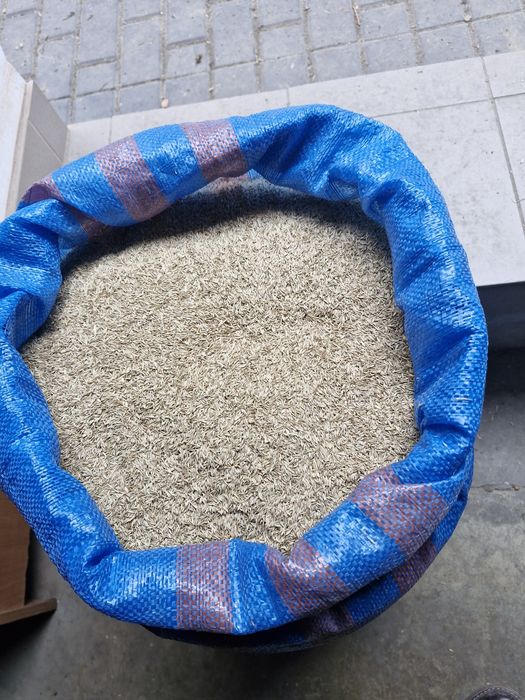 Trawa kupkówka zbiór 2025