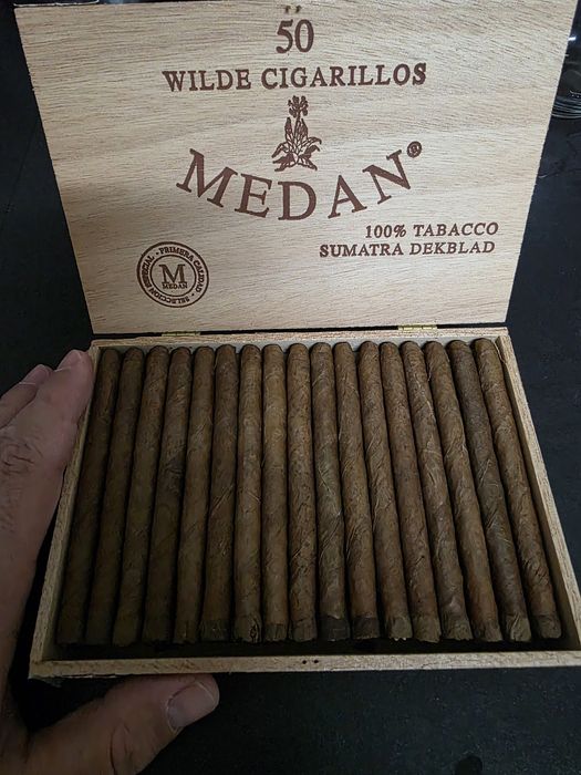 Raros! C.h.a.r.u.t.o.s de Coleção Medan Wilde – Caixa de Madeira e Arte em Cedro