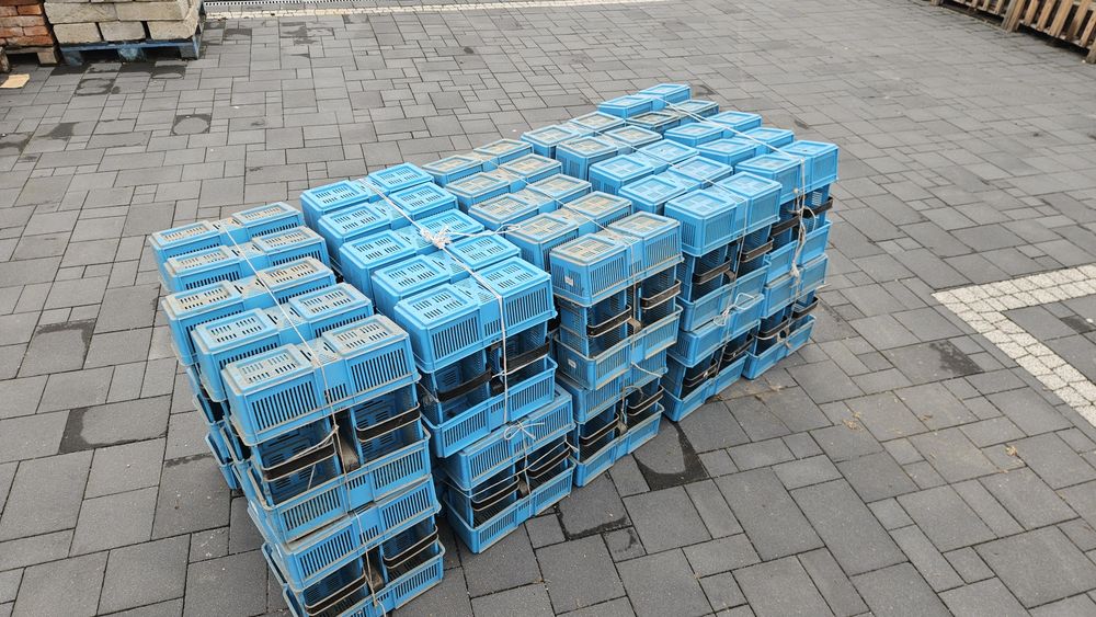 Łubianka plastikowa z uchem 200 szt niebieskie