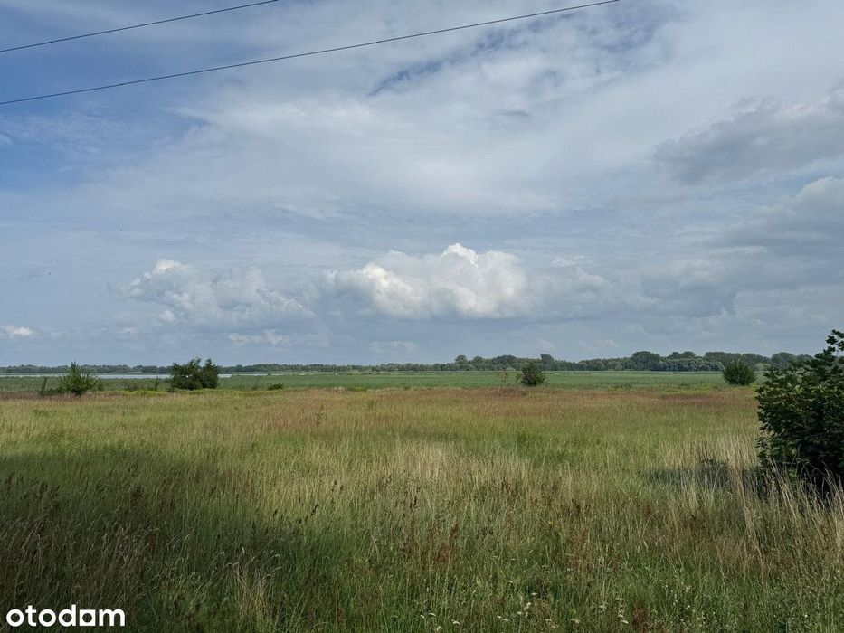 Działka 3000 m² na wyspie Wolin, nad wodą, blisko morza. – pohled 5