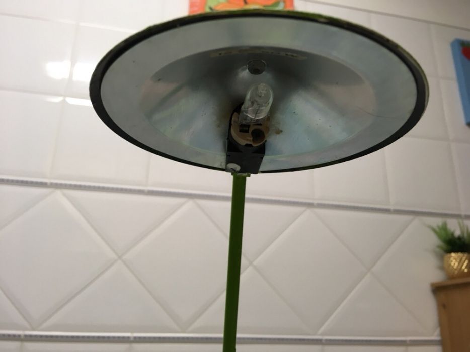 Table Lamps437596975992688643