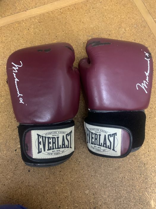 Рукавиці боксерські професійні