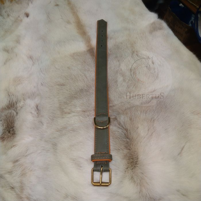 Obroża skórzana dla psa