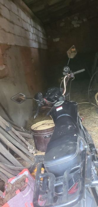 Продам мустанг фіт 2