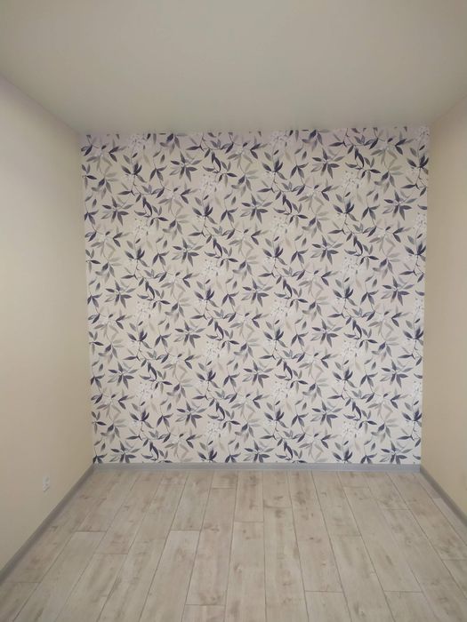 Ремонт квартир муж на час