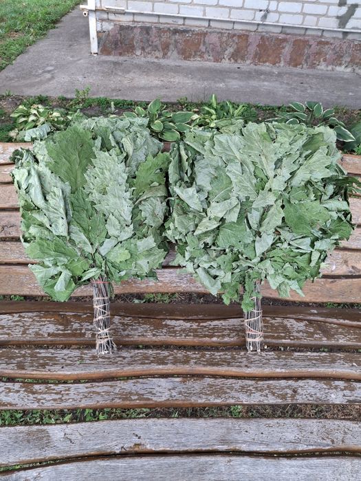 Віники для лазні та сауни березовий дубовий евкаліпт лаванда мята поли