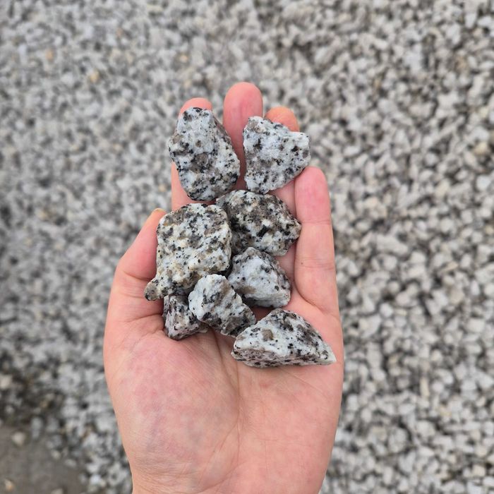 Sprzedam grys granitowy Dalmatyńczyk, frakcja 16-22