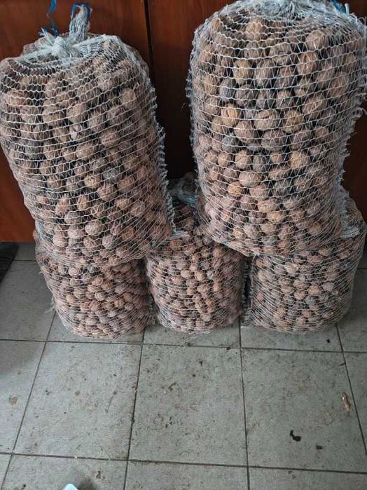 Orzechy Włoskie Całe Niełuskane