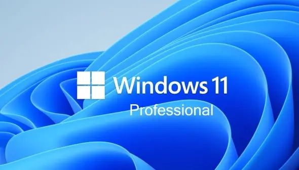 Microsoft Windows 11 Profesional