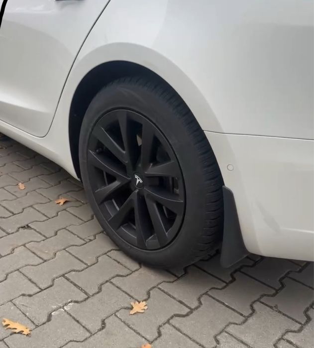 Бризговики Tesla 3 / Тесла 3