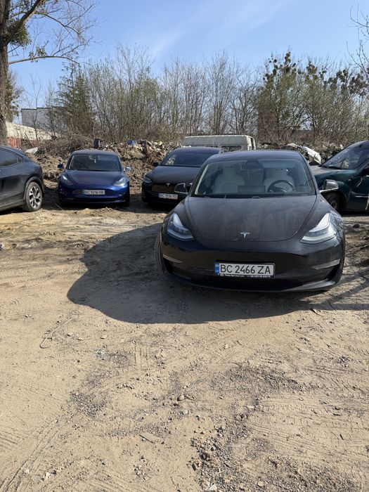 Tesla Service Ремонт model S X 3 y plaid Діагностика Батарея