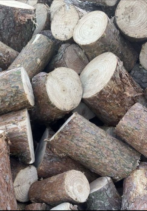Drewno opałowe Sosna - Transport 12 metrów - Okazja