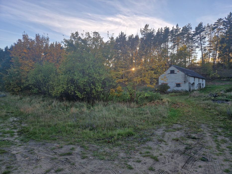 Dzałka, Siedlisko, Żwirownia, Siedlisko, Gospodarstwo, Stadnina - View 3