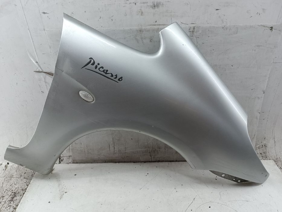 Guarda Lamas Direito - CITROËN Xsara Picasso (N68) | 99 - 12