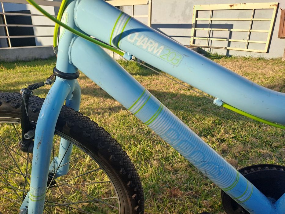 Bicicleta Crianças Roda 20