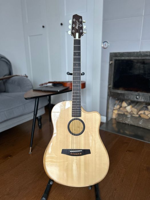 L.R. Baggs AEG-1 Acoustic Electric Guitar