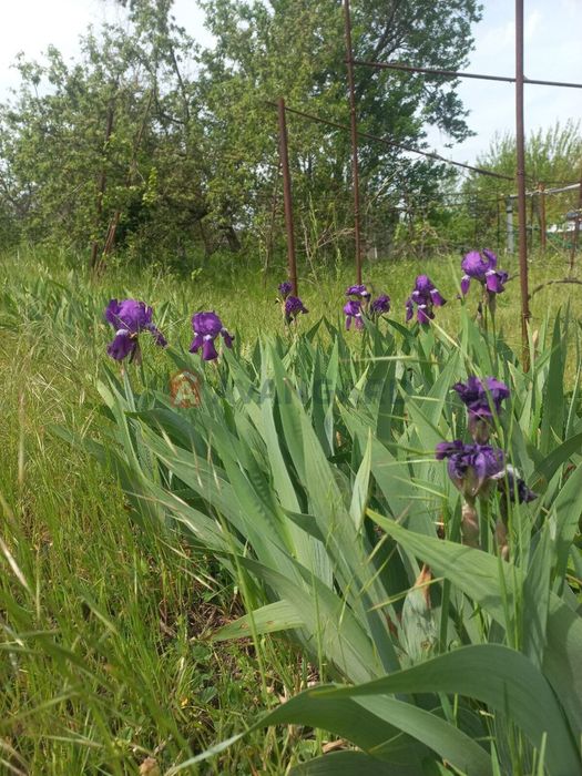 Продається дача 6 соток