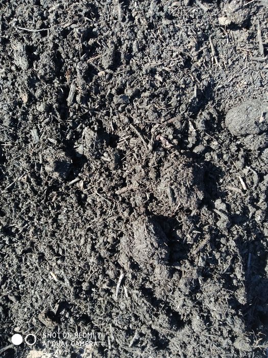 Ziemia wierzchniówka, czarnoziem pH 6,5-7