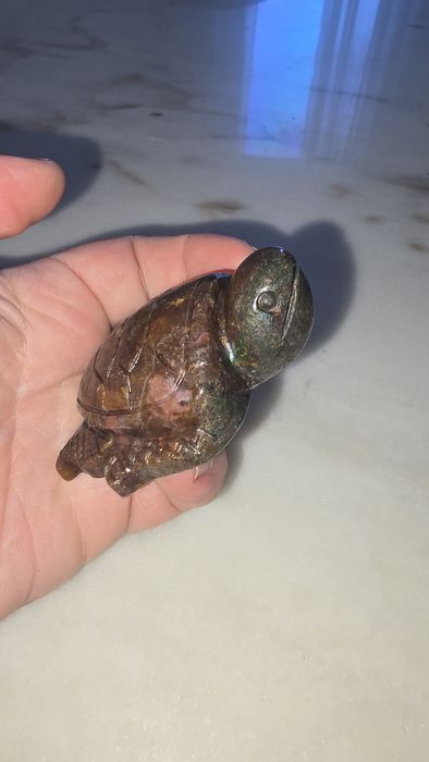 Ocean Jasper tartaruga