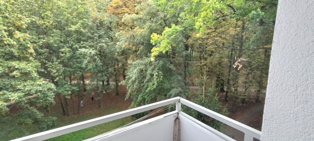 Zdjęcie 8