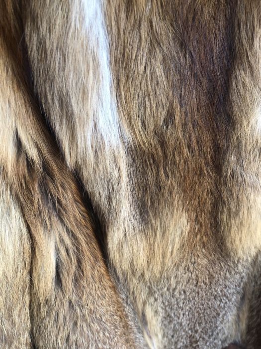 Casaco pele raposa da Jugoslávia